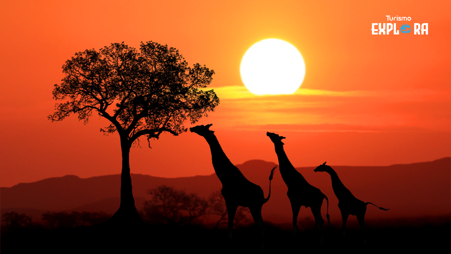 África