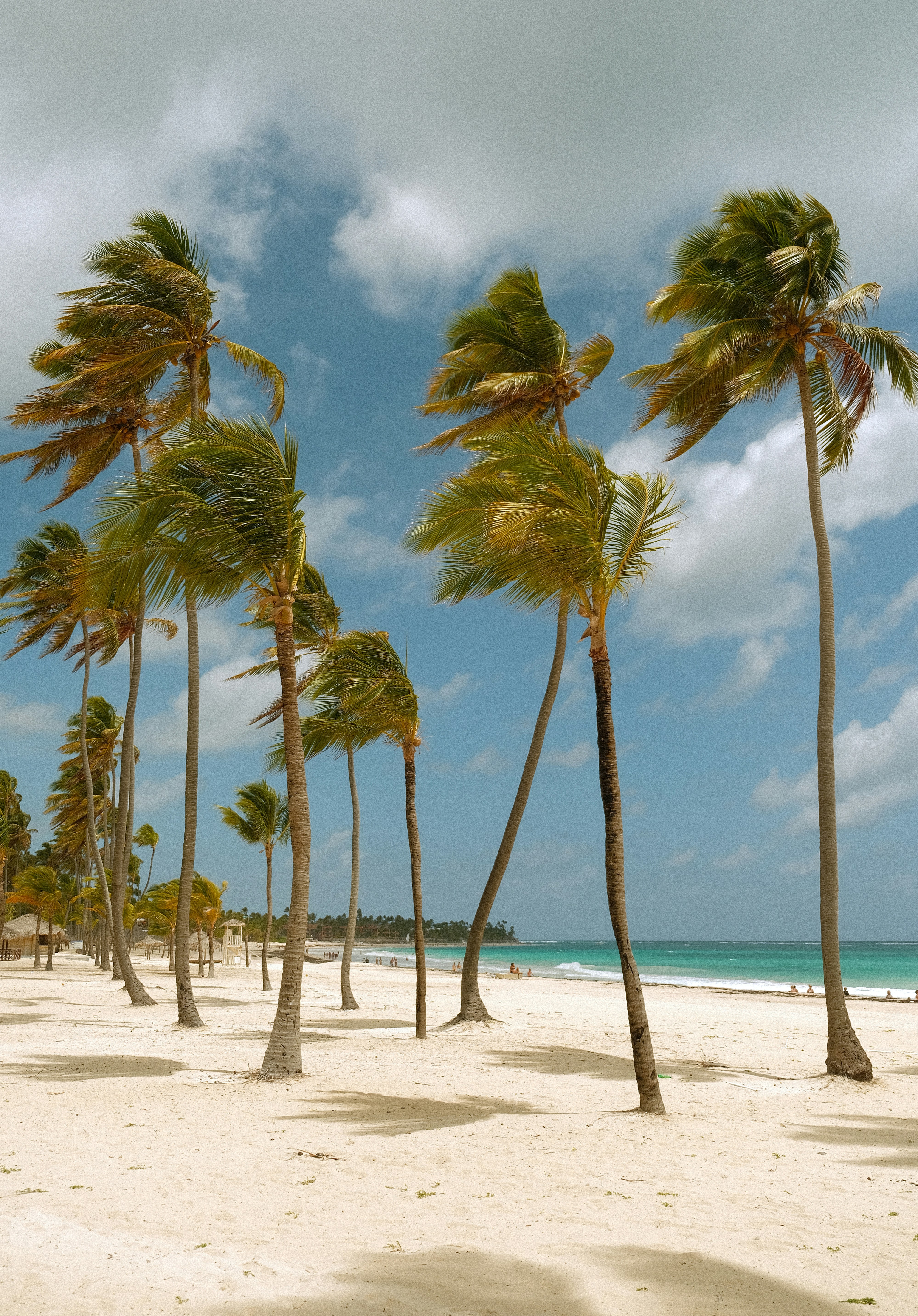 Caribe